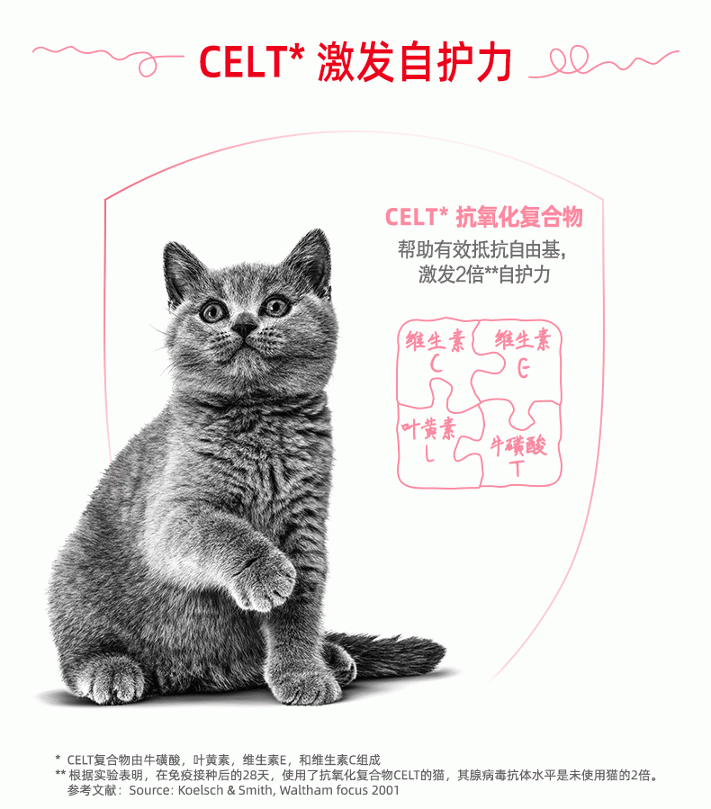 法国皇家Royal Canin 英国短毛幼猫粮 2kg BSK38