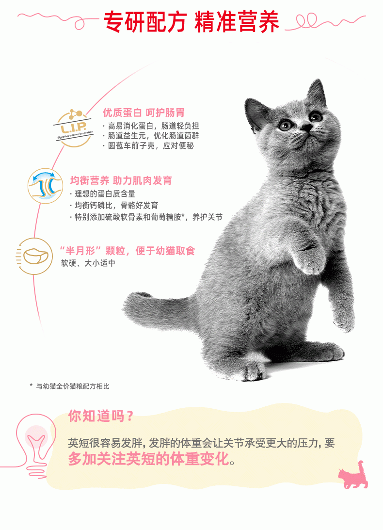 法国皇家Royal Canin 英国短毛幼猫粮 2kg BSK38
