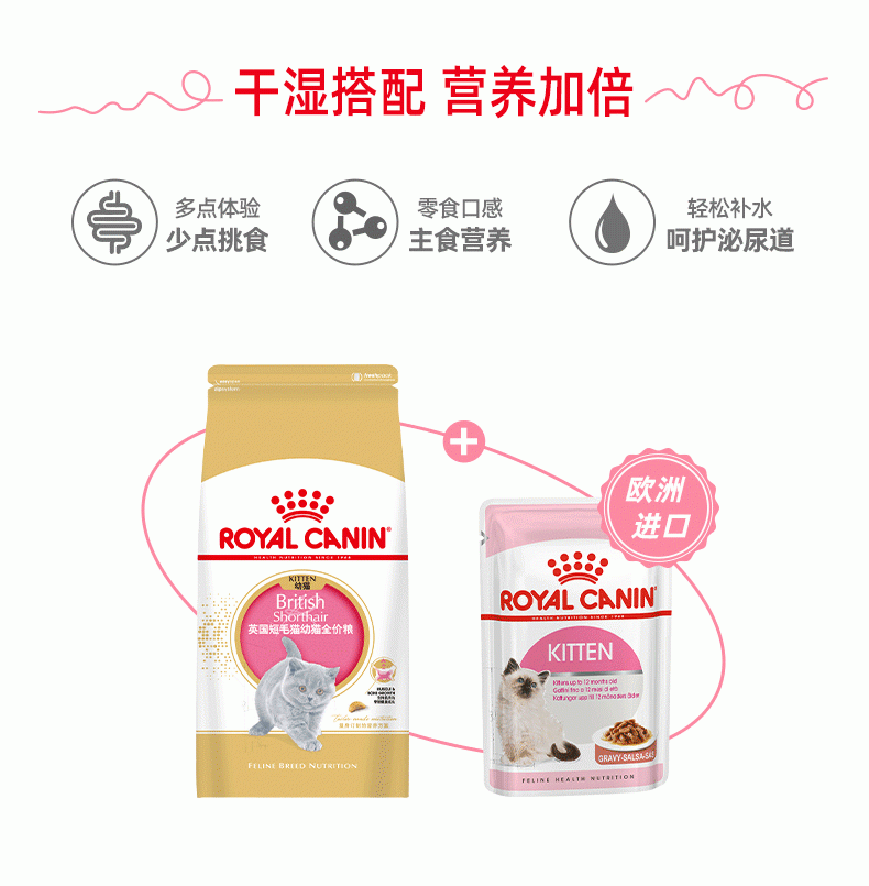 法国皇家Royal Canin 英国短毛幼猫粮 2kg BSK38