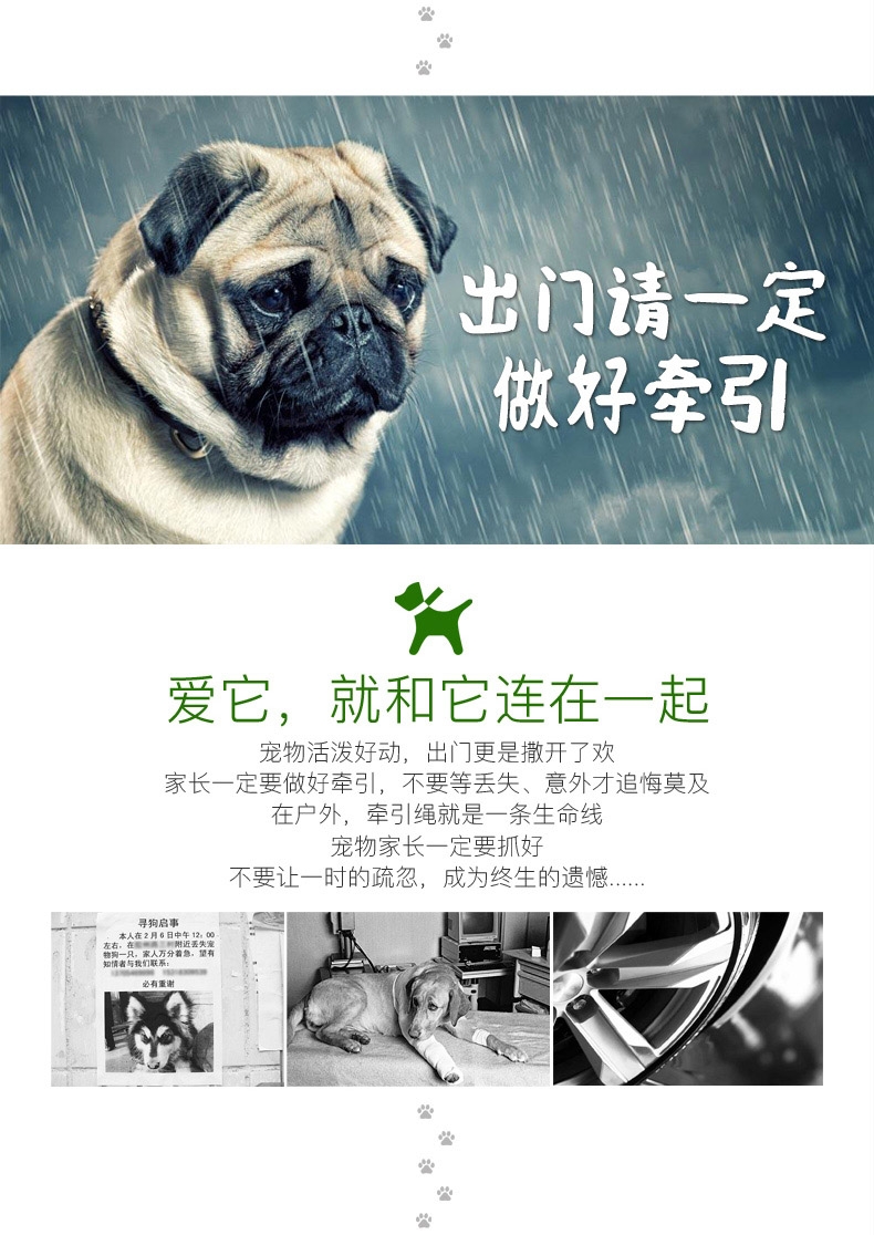 美科滋 犬猫通用耳道洗耳水 50ml/瓶 可用于术前清洁