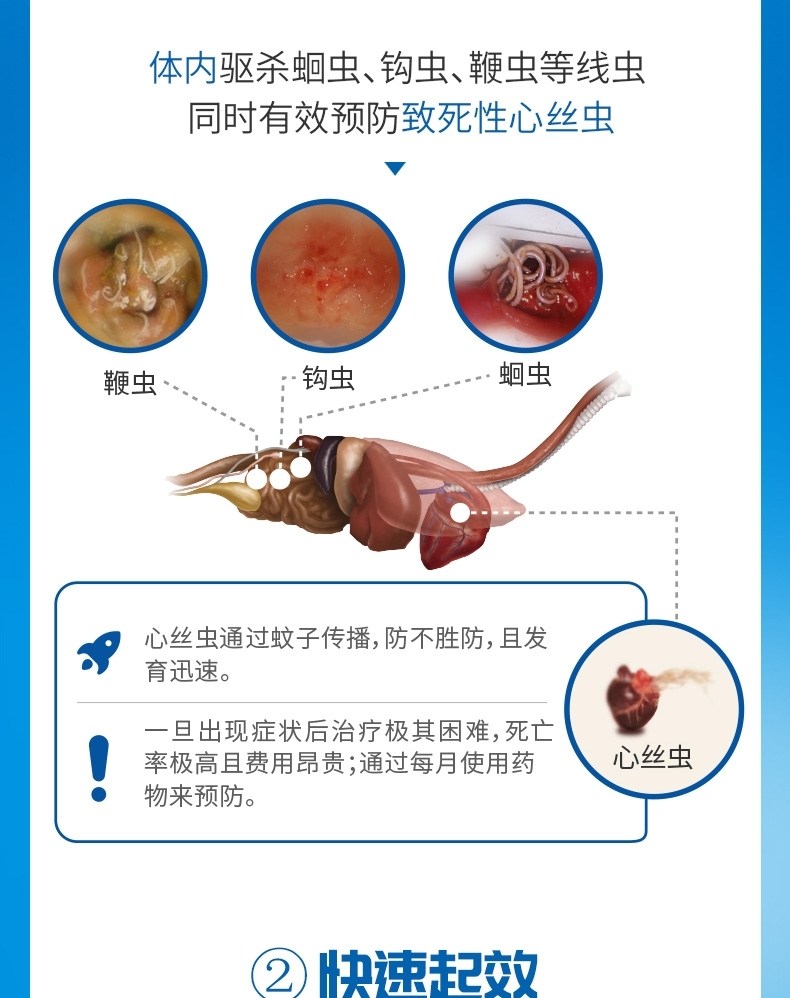 超可信 M 犬用内外同驱(7.5-15KG犬用)整盒装3片
