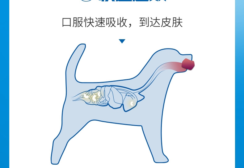 超可信 M 犬用内外同驱(7.5-15KG犬用)整盒装3片