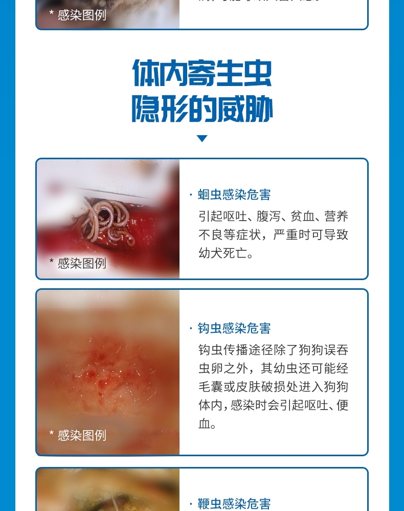 超可信 L 犬用内外同驱(15-30KG犬用)整盒装3片