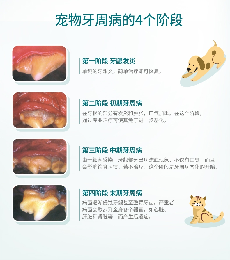 法国维克Virbac 犬猫用宠物洁牙套装 缓解口臭 法国进口