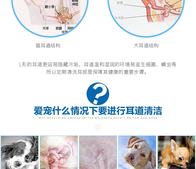 法国维克Virbac 猫狗洗眼耳护理套装 清洁护理 法国进口