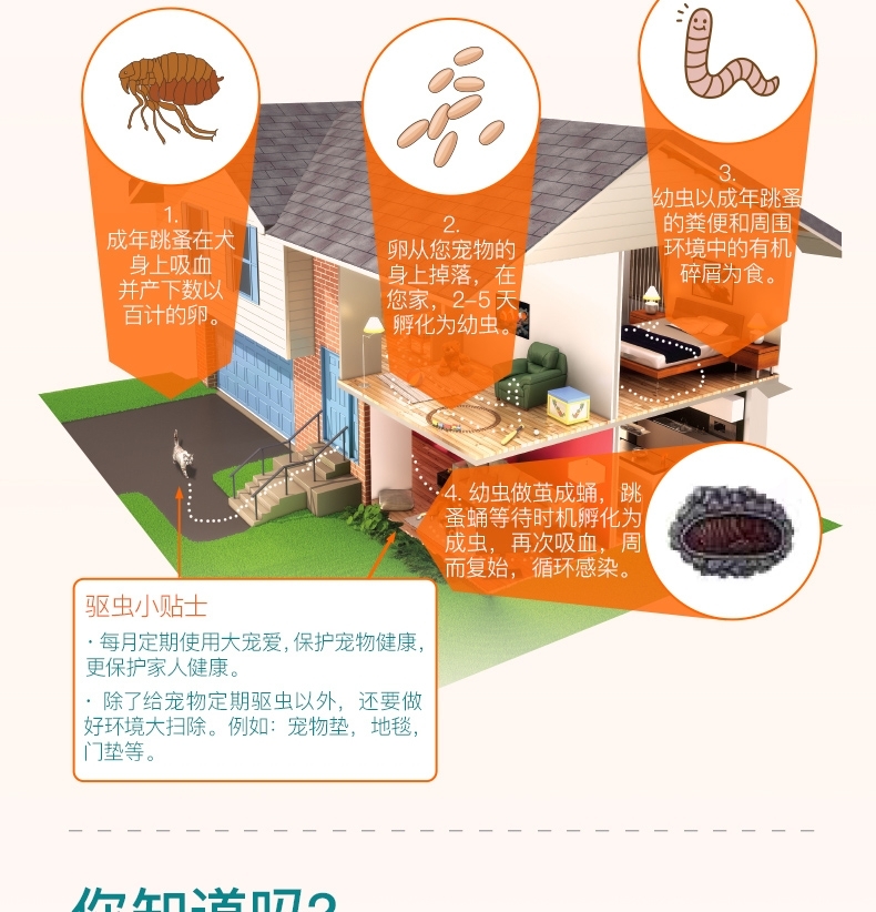 大宠爱 猫用内外同驱 驱虫滴剂 适用2.6-7.5kg 45mg*3支/2盒装 美国进口