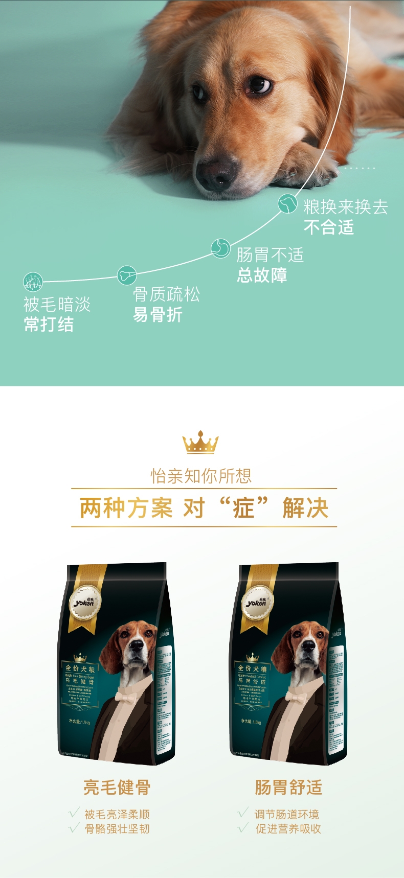 怡亲 金装肠胃舒适全犬粮 1.5kg