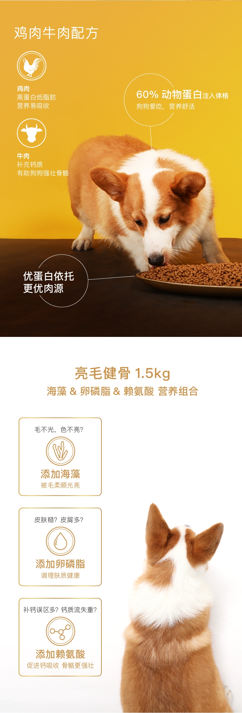 怡亲 金装肠胃舒适全犬粮 1.5kg