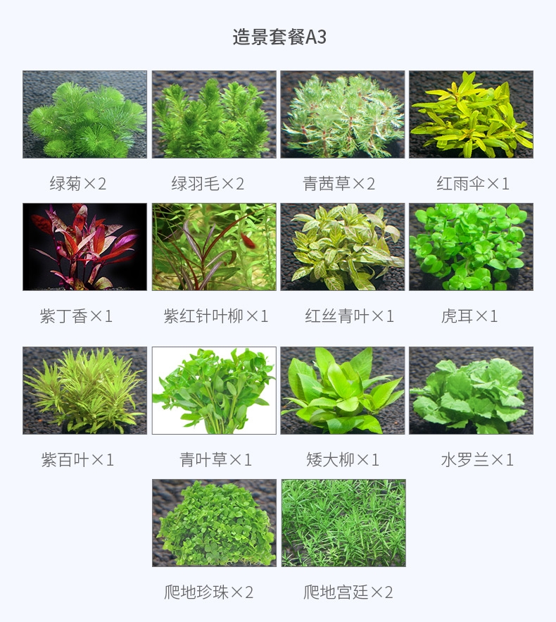 聚宝源 超白鱼缸LX400