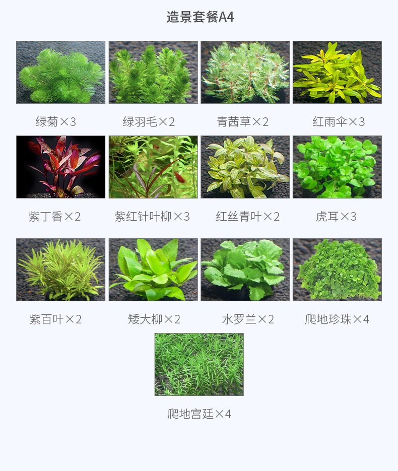 聚宝源 超白鱼缸LX400