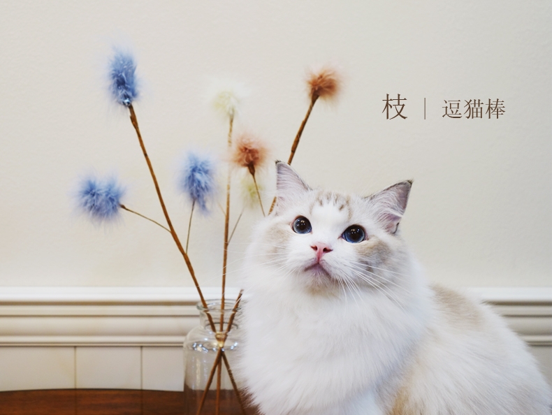 田田猫 仿树枝羽毛逗猫棒 多颜色可选 设计美观