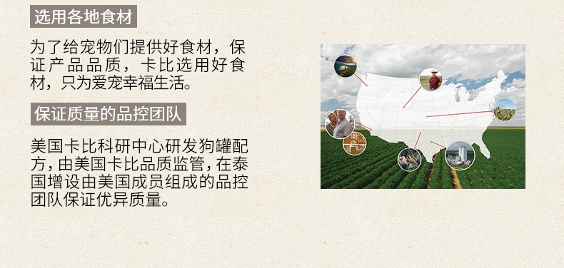 美国卡比Canidae 无谷鸡肉牛肉红薯四季豆狗罐头 70g