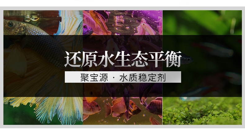 聚宝源 水质稳定剂250ml