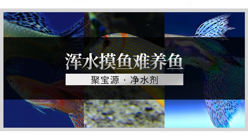 聚宝源 净水剂500ml