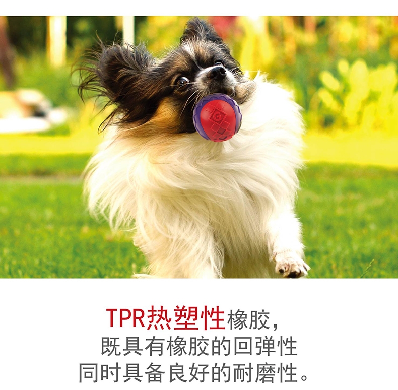 贵为GiGwi G-Ball球狗狗玩具 2只装
