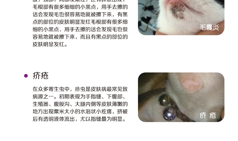 LANBOTO 创肤安硫酸新霉素软膏伤口治愈20g/支