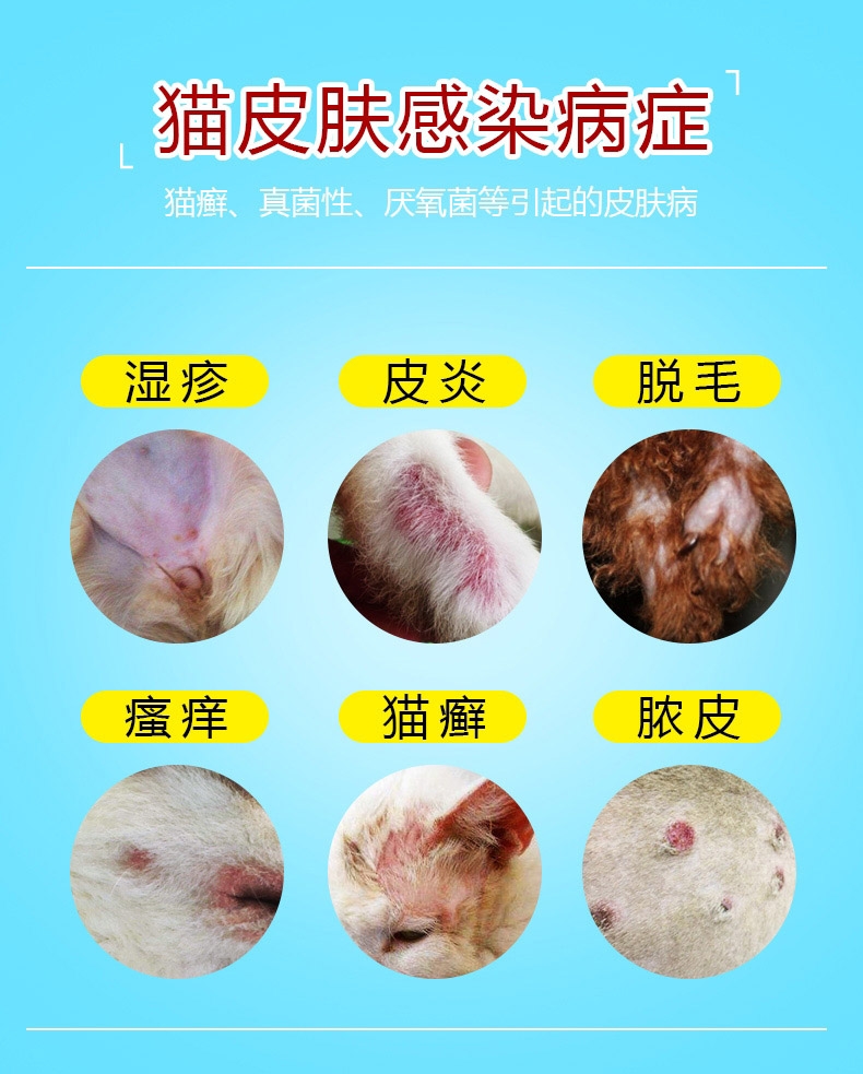 朗博特LANBOTO 癣清复方酮康唑软膏治疗猫癣 15g/支