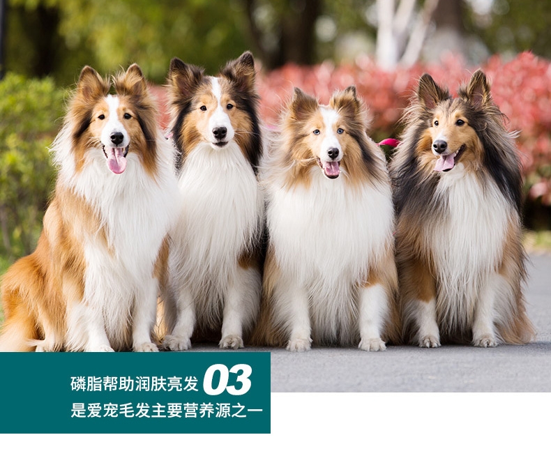 怡亲Yoken 犬用化毛营养膏 120g*2支 排毛补营养一膏多用