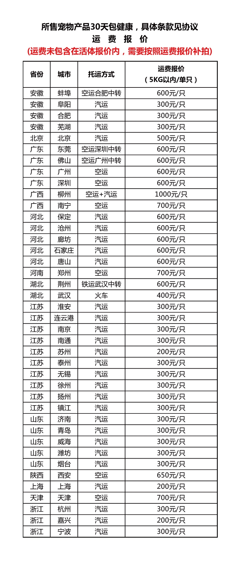 永升豆柴犬活体纯种犬 宠物狗狗