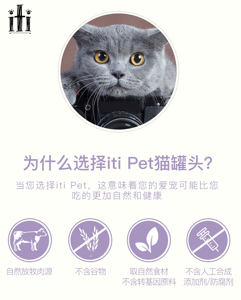 新西兰爱娣iti Pet 鸡肉三文鱼主食猫罐头 85g 90%含肉量