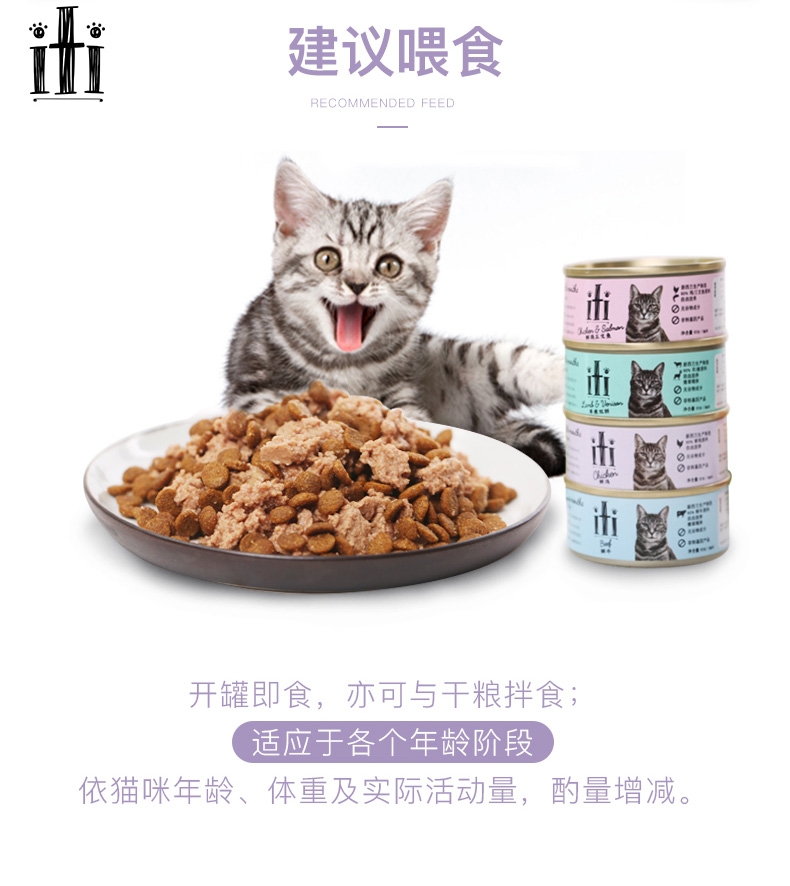新西兰爱娣iti Pet 鸡肉三文鱼主食猫罐头 85g 90%含肉量