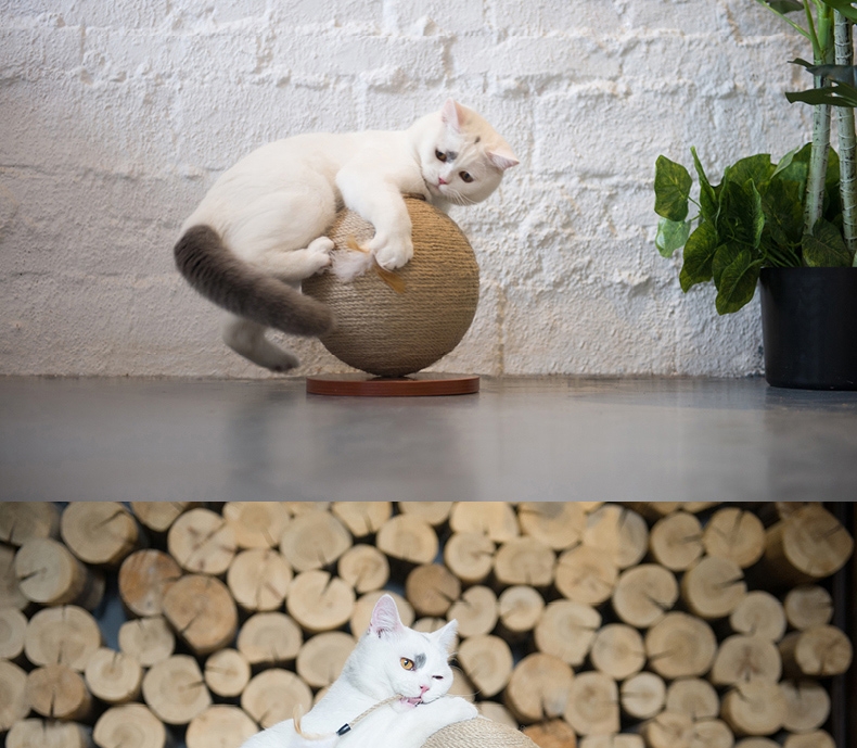 ZEZE 地球仪式猫抓球 含趣味配件 装饰、磨爪一步到位