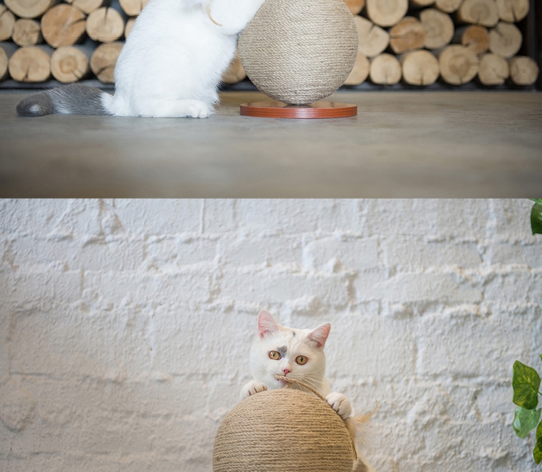 ZEZE 地球仪式猫抓球 含趣味配件 装饰、磨爪一步到位