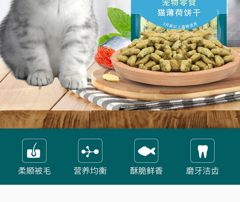 怡亲Yoken 薄荷味鱼形饼干磨牙除口臭猫零食 80g