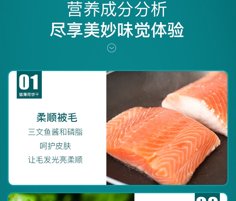 怡亲Yoken 薄荷味鱼形饼干磨牙除口臭猫零食 80g