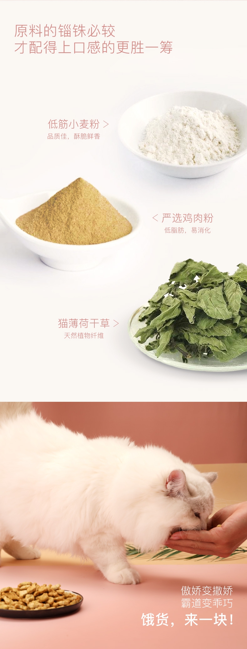 怡亲Yoken 薄荷味鱼形猫饼干猫零食 80g 磨牙除口臭
