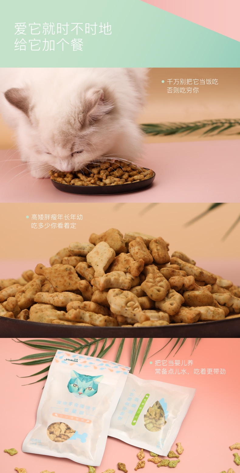 怡亲Yoken 薄荷味鱼形猫饼干猫零食 80g 磨牙除口臭