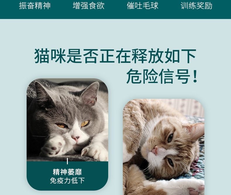怡亲Yoken 猫薄荷棒棒糖猫零食 15g 去毛球磨牙洁齿清新口气