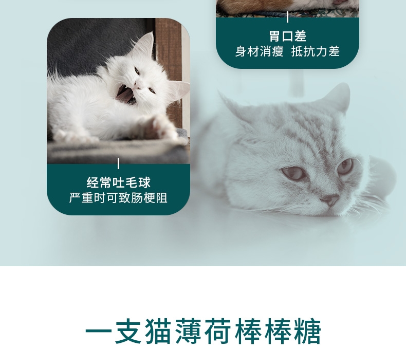 怡亲Yoken 猫薄荷棒棒糖猫零食 15g 去毛球磨牙洁齿清新口气