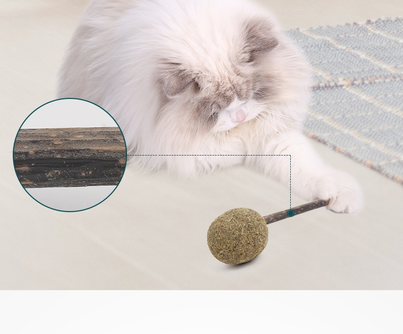 怡亲Yoken 猫薄荷棒棒糖猫零食 15g 去毛球磨牙洁齿清新口气