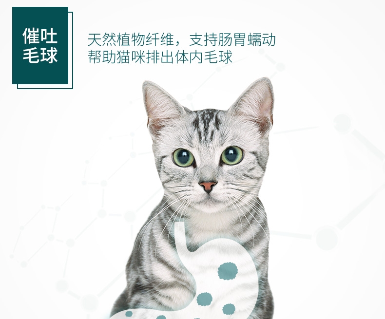 怡亲Yoken 猫薄荷棒棒糖猫零食 15g 去毛球磨牙洁齿清新口气