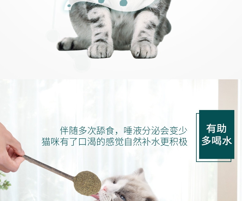 怡亲Yoken 猫薄荷棒棒糖猫零食 15g 去毛球磨牙洁齿清新口气