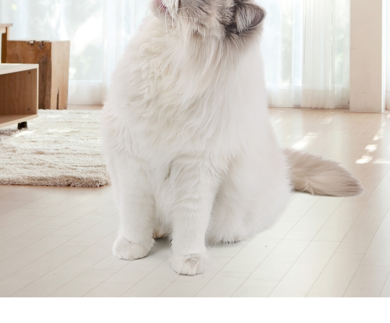 怡亲Yoken 猫薄荷棒棒糖猫零食 15g 去毛球磨牙洁齿清新口气