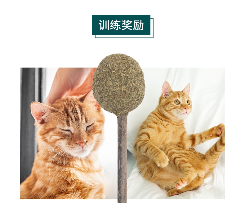 怡亲Yoken 猫薄荷棒棒糖猫零食 15g 去毛球磨牙洁齿清新口气