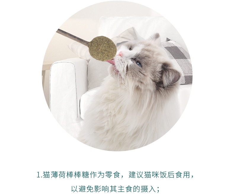 怡亲Yoken 猫薄荷棒棒糖猫零食 15g 去毛球磨牙洁齿清新口气