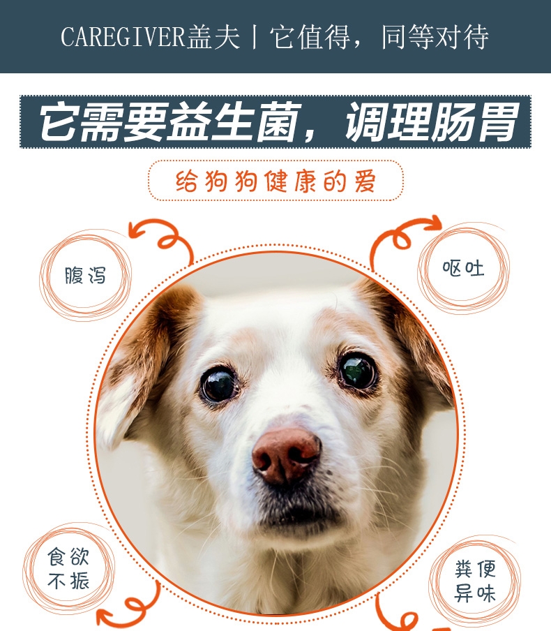 盖夫 猫狗宠物益生菌5包/盒 调节猫咪肠道吐毛球拉肚子消化不良