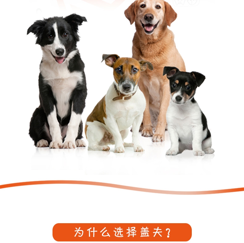 盖夫 猫狗宠物益生菌5包/盒 调节猫咪肠道吐毛球拉肚子消化不良