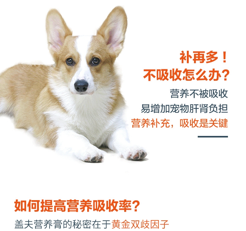盖夫 猫狗宠物均衡营养膏120g 促进矿物质吸收 养护皮毛