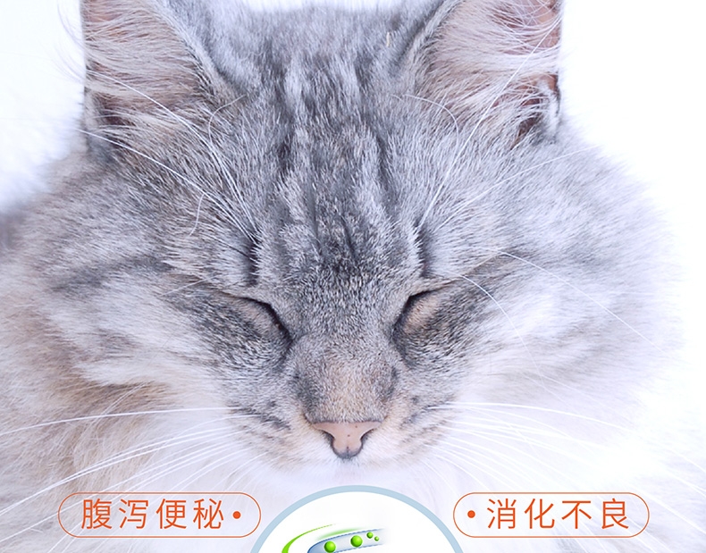 盖夫 猫用宠物益生菌5包/盒 调节猫咪肠道吐毛球拉肚子消化不良