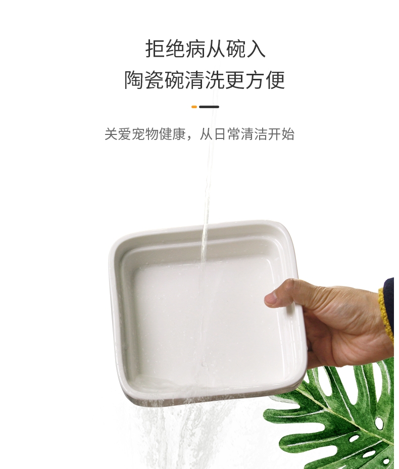派兹乐室PETSEARTH 宠物食具