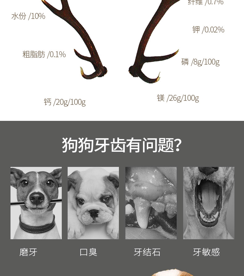佩特滋 鹿角磨牙骨 中号圆柱 耐咬清洁口腔 犬用