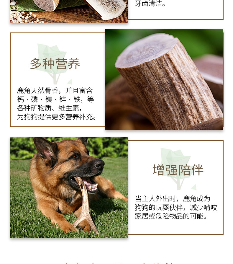 佩特滋 鹿角磨牙骨 中号圆柱 耐咬清洁口腔 犬用