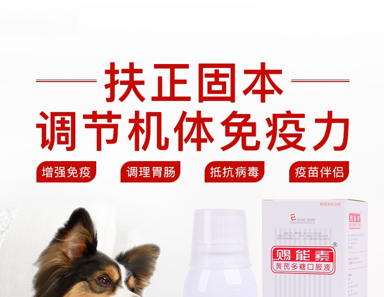 爱迪森 宠物赐能素 提高免疫力抗犬瘟病毒(黄芪多糖口服液)100ml