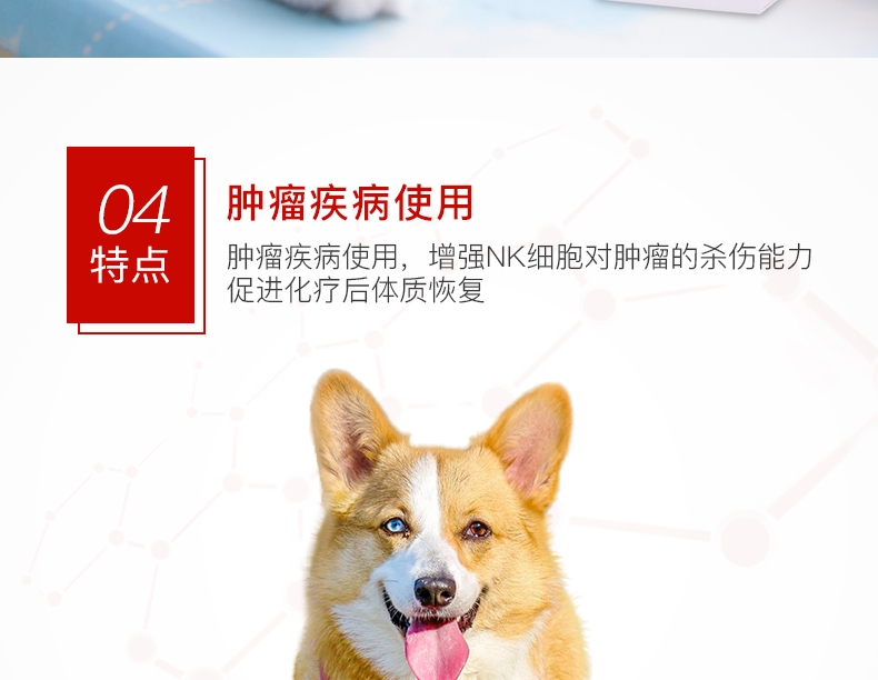 爱迪森 宠物赐能素 提高免疫力抗犬瘟病毒(黄芪多糖口服液)100ml