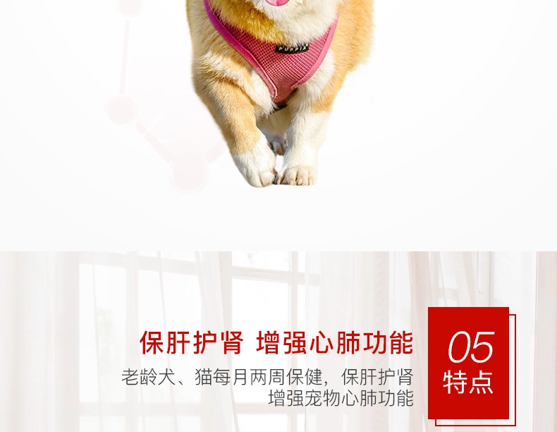 爱迪森 宠物赐能素 提高免疫力抗犬瘟病毒(黄芪多糖口服液)100ml