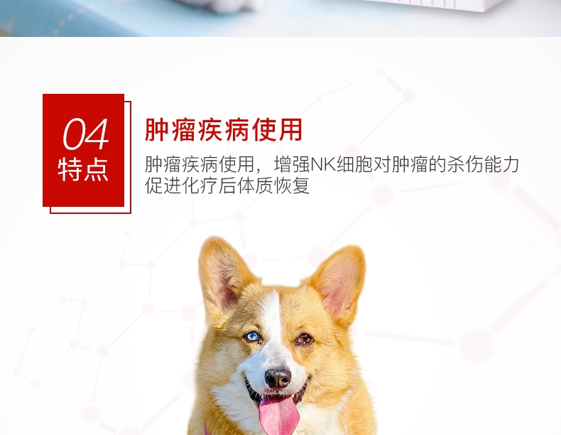 爱迪森 猫狗宠物赐能素提高免疫力抗犬瘟病毒(黄芪多糖口服液)15ml*2支
